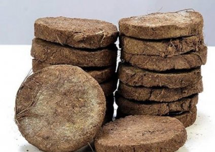 Cow Dung Cake (12 pcs, Size 1×1×30 cm)