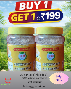Adrak Powder 150g in offer